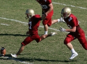 开云体育直播-北非雄狮对阵非洲雄鹰，当国家荣耀超越个人救赎