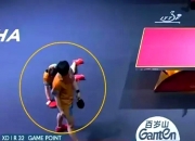 开云体育登录-葡萄牙队绝杀日本队，张本智和扛起全队的简单介绍