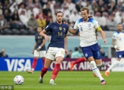 开云平台-英格兰队险胜法国队，波尔刷新纪录的简单介绍