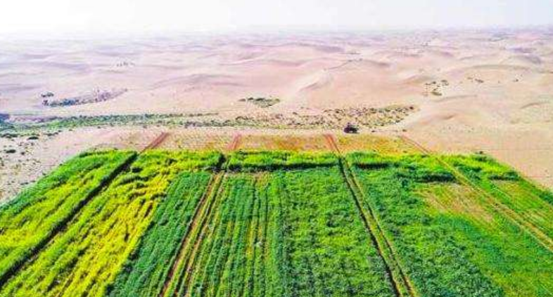 临时变阵是否能带来新的突破