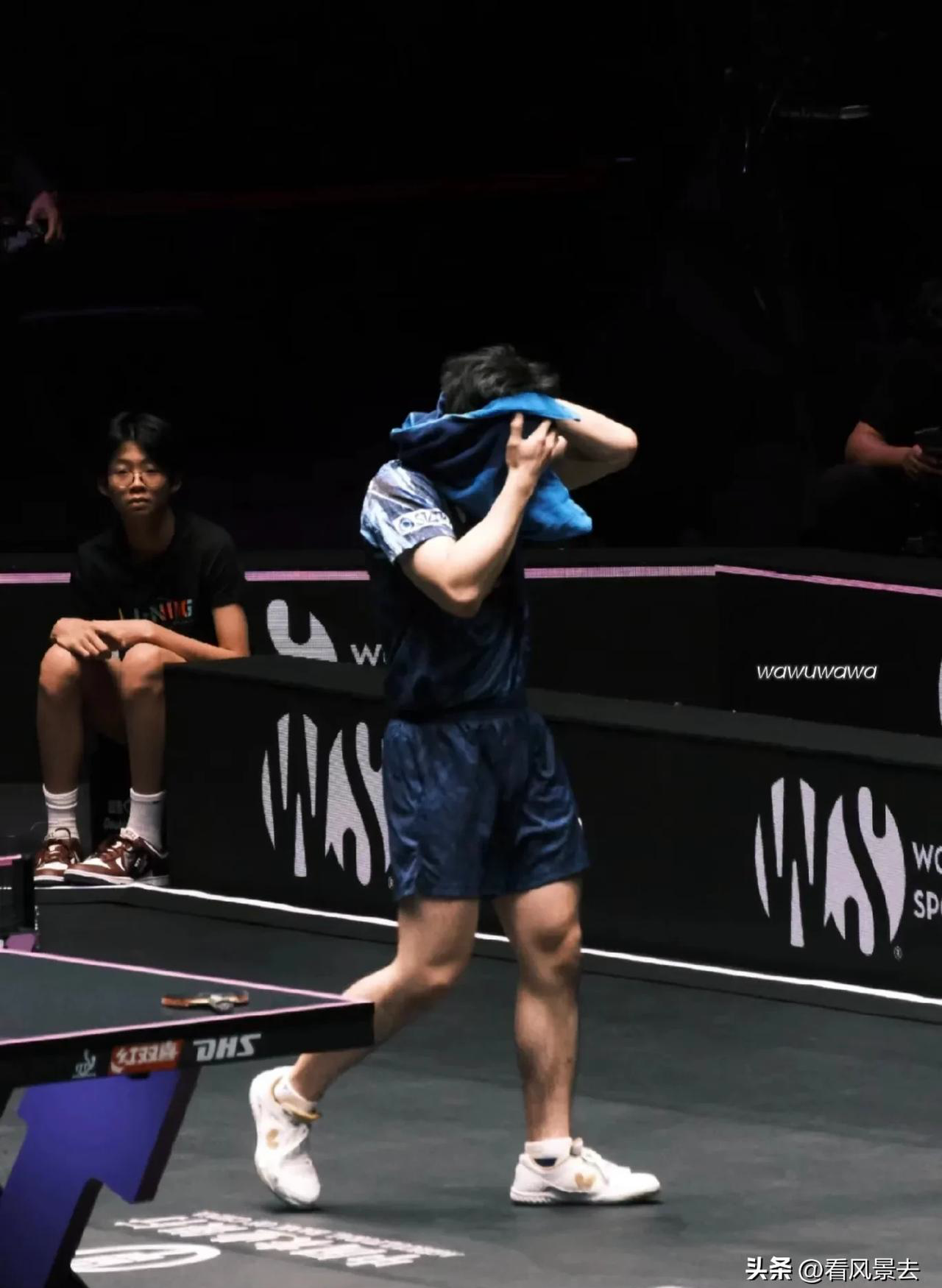 包含瑞典乒乓球队绝地反击韩国乒乓球队，张本智和制霸全场的词条