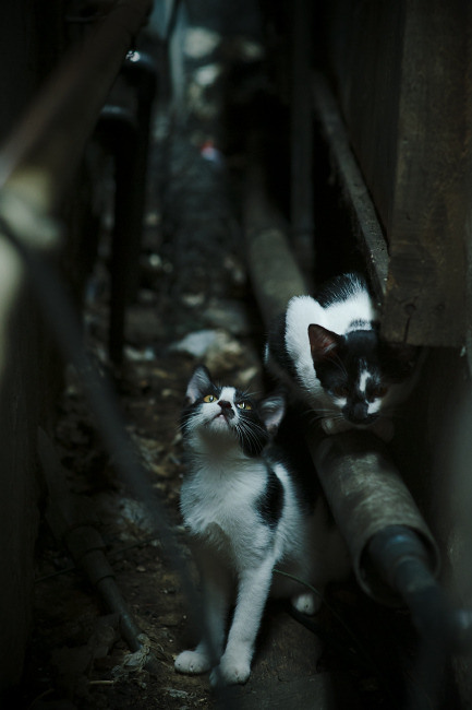 快船连续得分狂潮压制奇才，德罗赞逆境闪耀成全场焦点